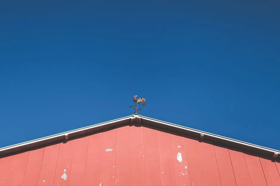Rustic red barn roof topped with a rooster weathervane under a clear blue sky.